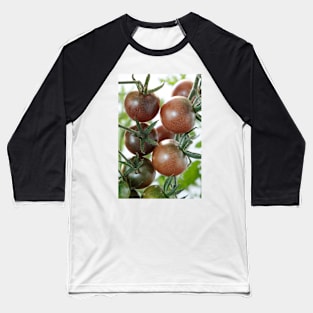 Solanum lycopersicum  &#39;Black Cherry&#39;  Cherry tomato Baseball T-Shirt